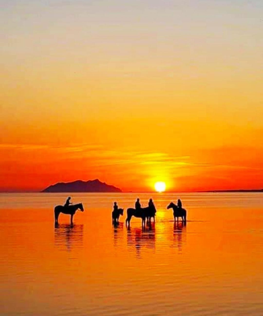 Sunrise Stagnone - Kitesurf Spot Acomodação com café da manhã Marsala Exterior foto